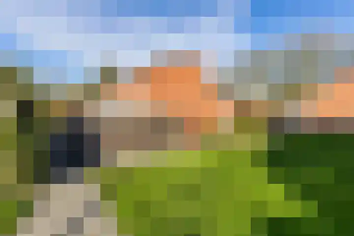 Hamplaats 41 Ten Boer thumbnail 32