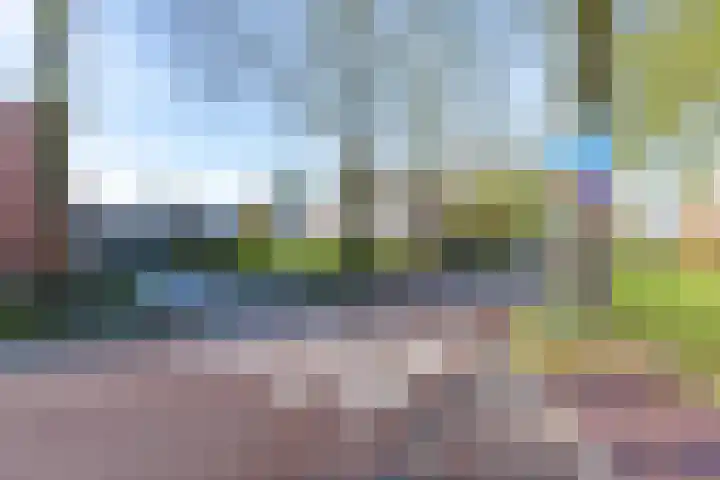 Hamplaats 41 Ten Boer thumbnail 37