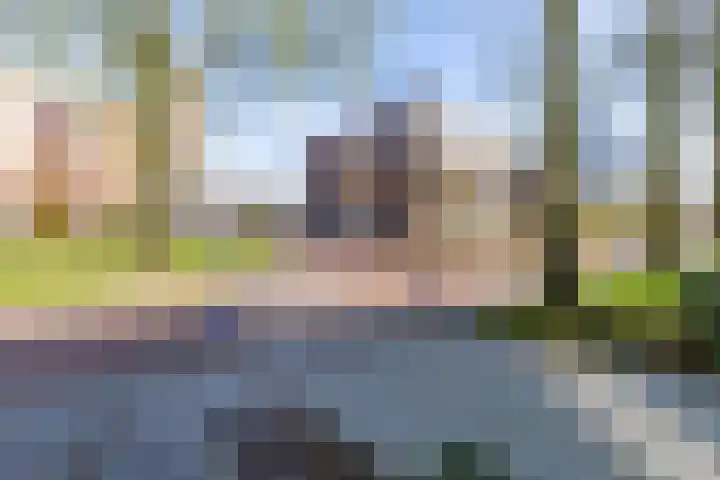 Hamplaats 41 Ten Boer thumbnail 38
