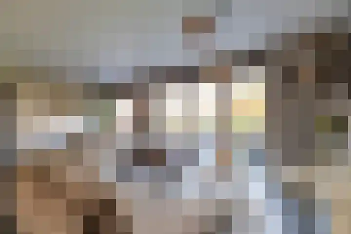 Hamplaats 41 Ten Boer thumbnail 4