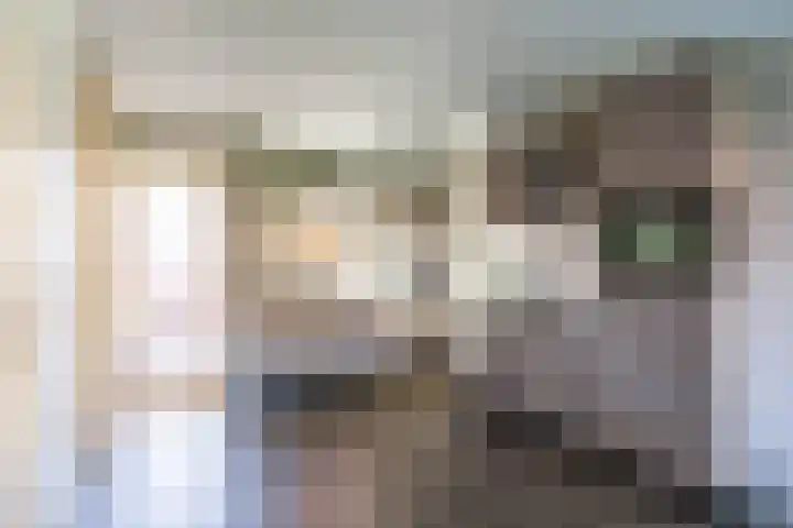 Hamplaats 41 Ten Boer thumbnail 5