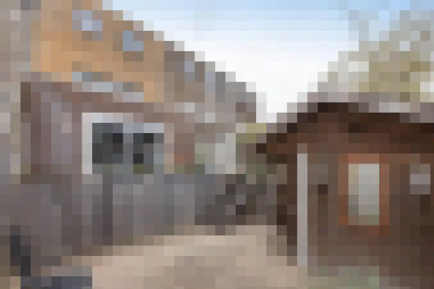 Hampshire 17 Hengelo thumbnail 34