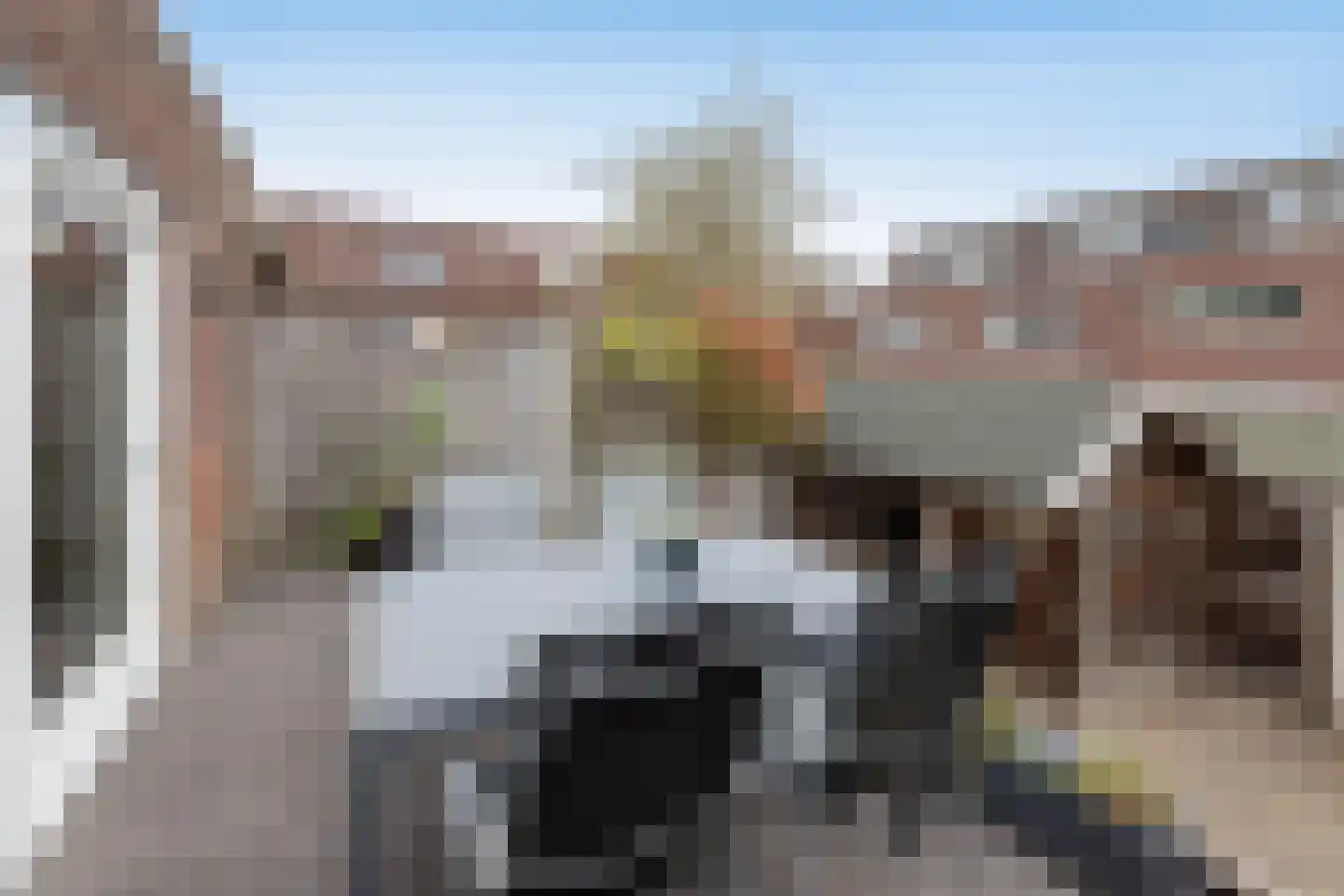 Hampshire 17 Hengelo thumbnail 7