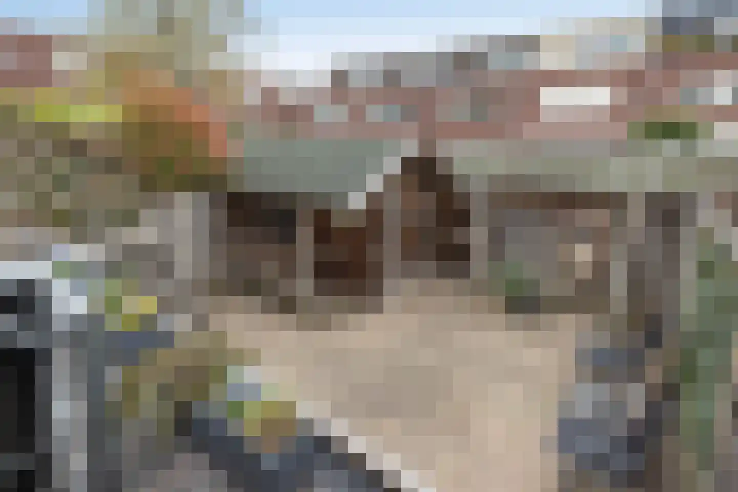 Hampshire 17 Hengelo thumbnail 8