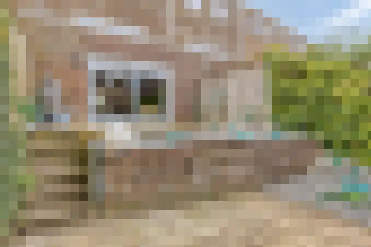 Hampshire 27 Hengelo thumbnail 34