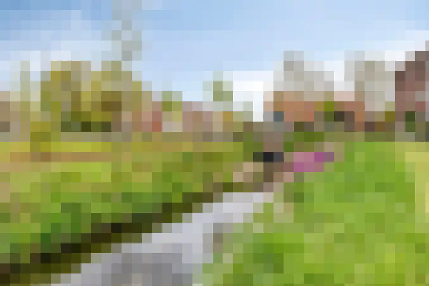 Hampshire 27 Hengelo thumbnail 39