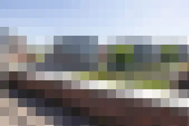 Hampshire 37 Hengelo thumbnail 25