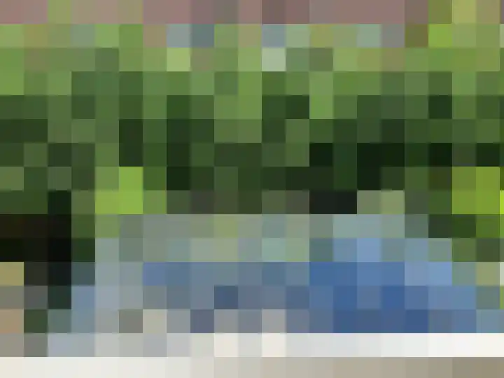Hampshire 37 Hengelo thumbnail 26