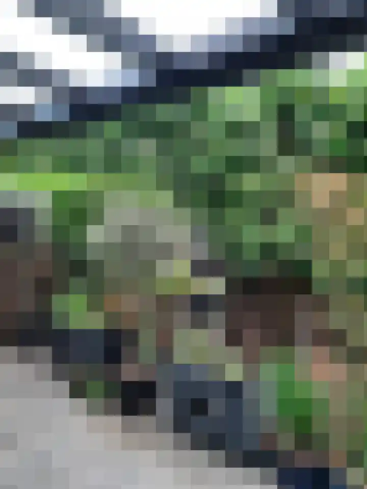 Hampshire 37 Hengelo thumbnail 27