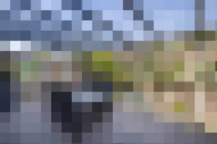 Hampshire 37 Hengelo thumbnail 28