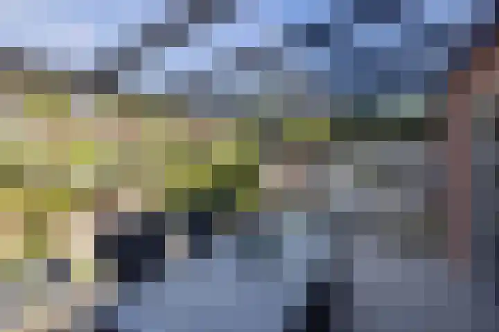 Hampshire 37 Hengelo thumbnail 29