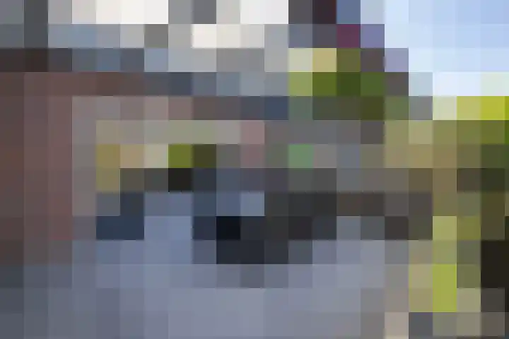 Hampshire 37 Hengelo thumbnail 30