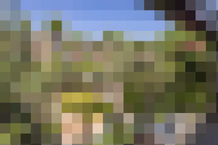 Hampshire 37 Hengelo thumbnail 31