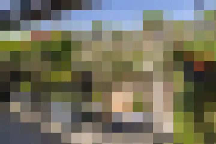 Hampshire 37 Hengelo thumbnail 4