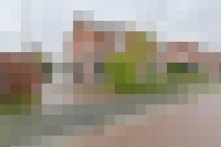 Hamrik 16 en Borger