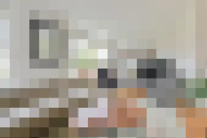Hamrik 16 Borger thumbnail 15
