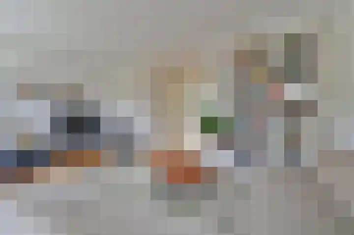 Hamrik 16 Borger thumbnail 17