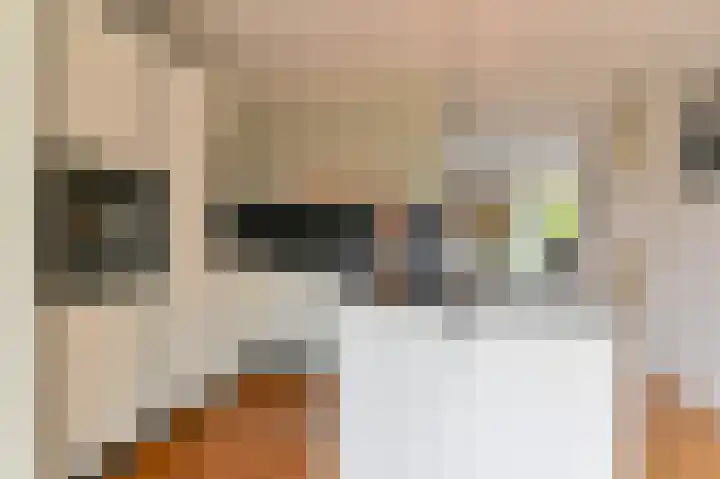Hamrik 16 Borger thumbnail 25