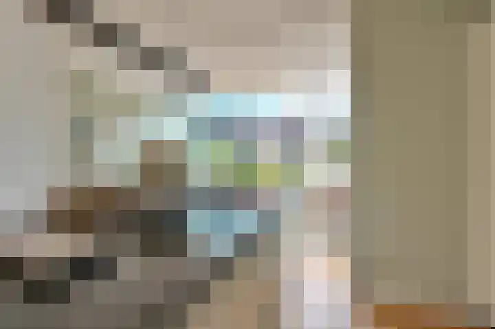 Hamrik 16 Borger thumbnail 28