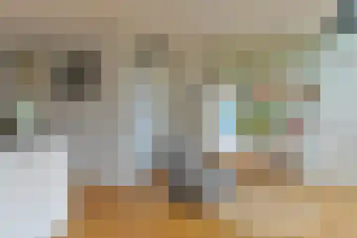 Hamrik 16 Borger thumbnail 29