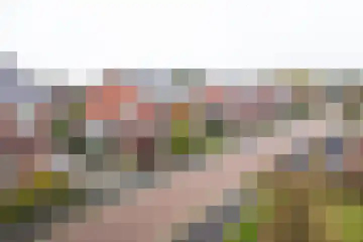 Hamrik 16 Borger thumbnail 4