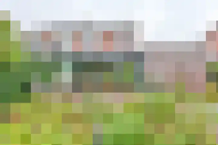 Hamrik 16 Borger thumbnail 62