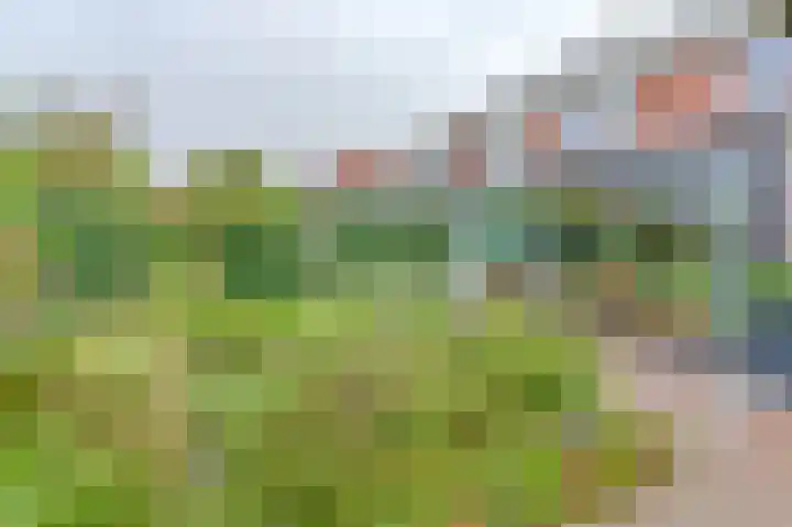 Hamrik 16 Borger thumbnail 63