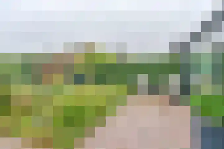 Hamrik 16 Borger thumbnail 64