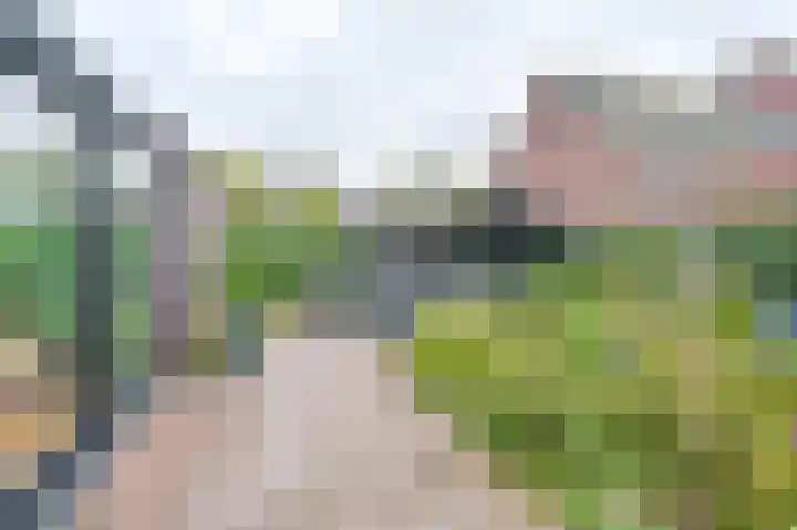 Hamrik 16 Borger thumbnail 65