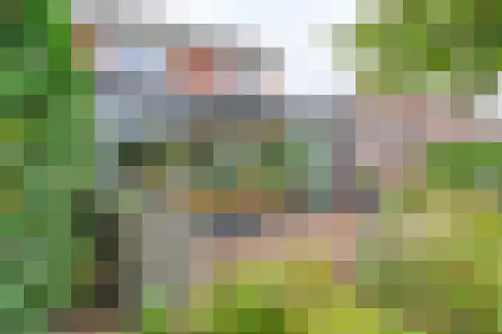 Hamrik 16 Borger thumbnail 66