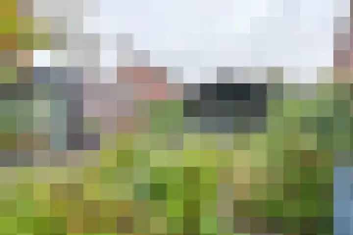 Hamrik 16 Borger thumbnail 67