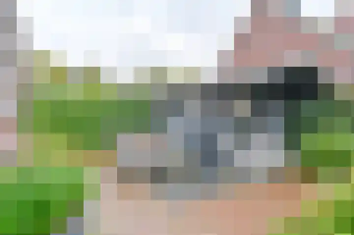 Hamrik 16 Borger thumbnail 68