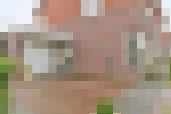 Hamrik 16 Borger thumbnail 7