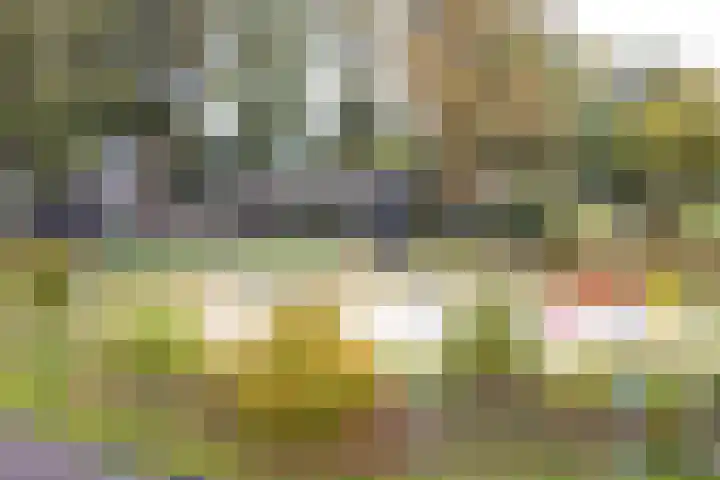 Hamrik 16 Borger thumbnail 71
