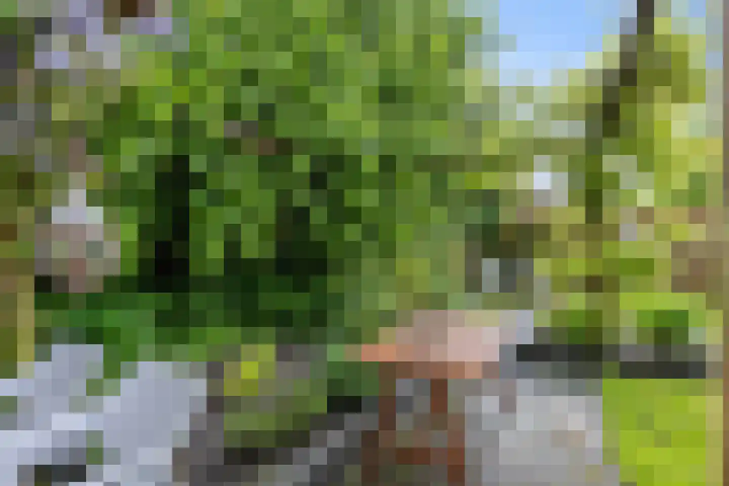 Hamrik 18 Winsum thumbnail 31