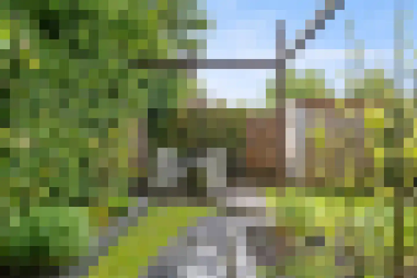 Hamrik 18 Winsum thumbnail 32