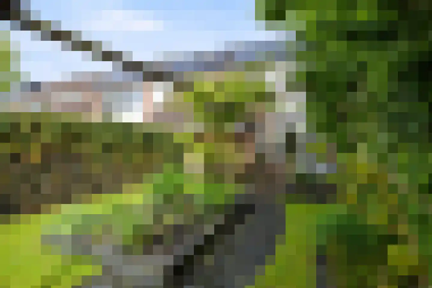Hamrik 18 Winsum thumbnail 34