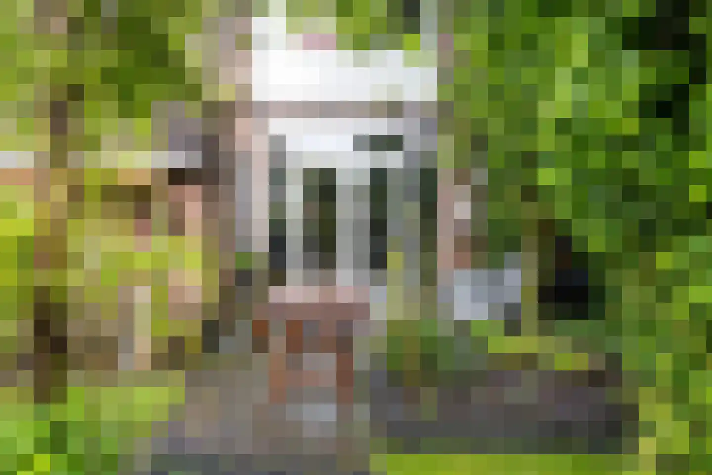 Hamrik 18 Winsum thumbnail 35