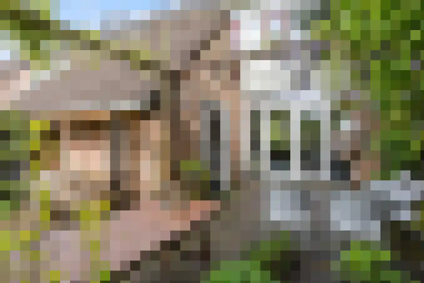Hamrik 18 Winsum thumbnail 36