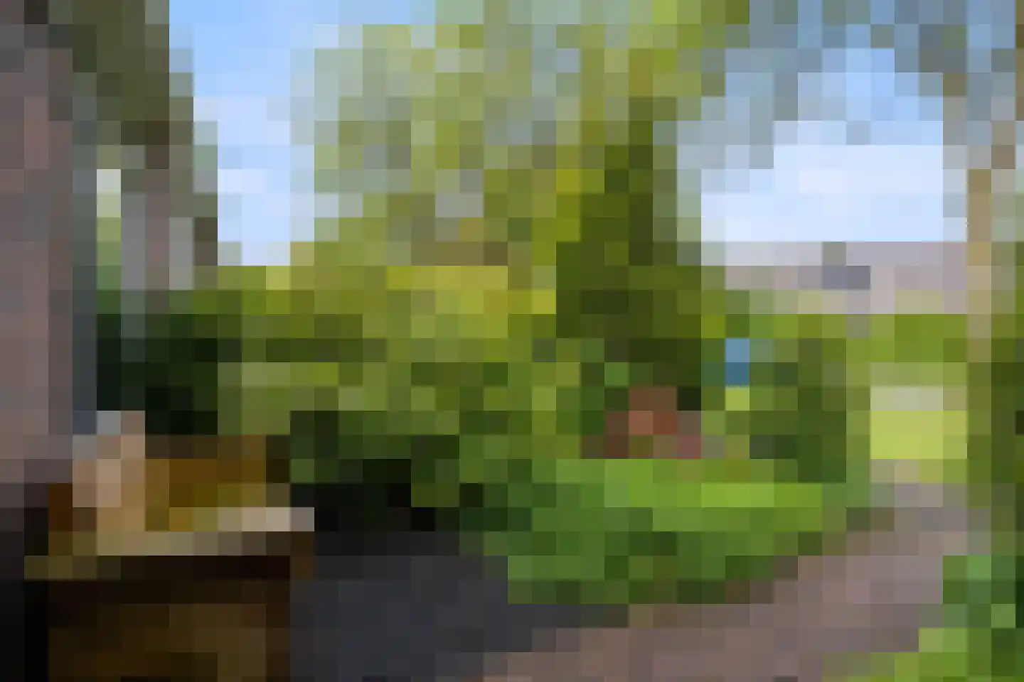Hamrik 18 Winsum thumbnail 4