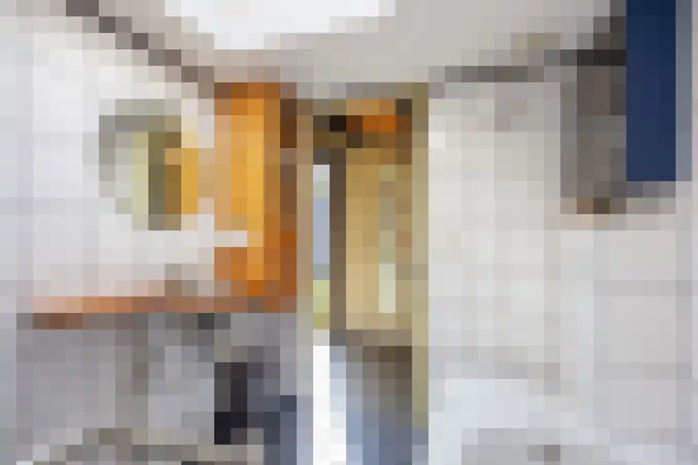 Hamrik 25 Winsum thumbnail 24