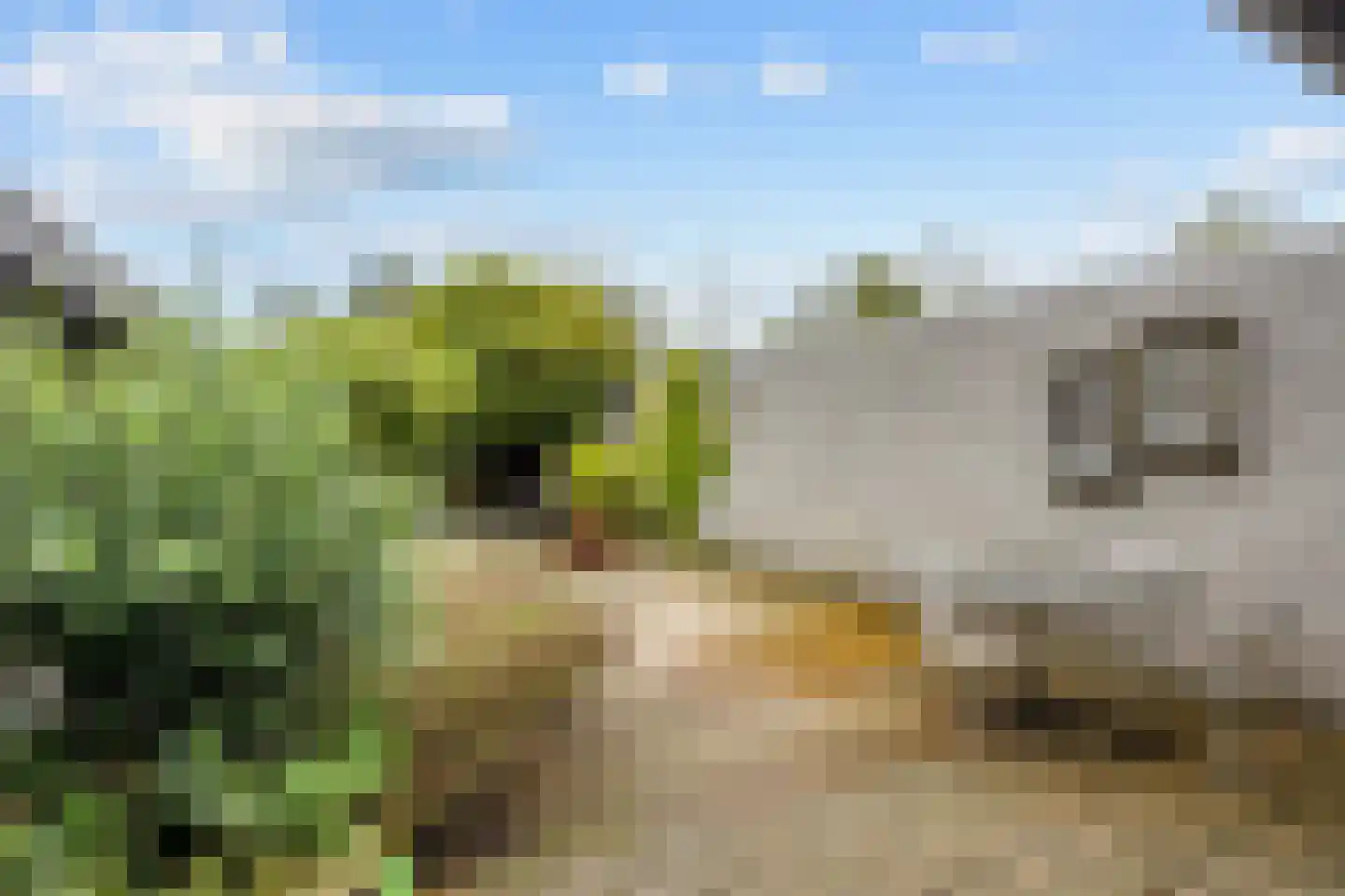 Hamrik 25 Winsum thumbnail 31