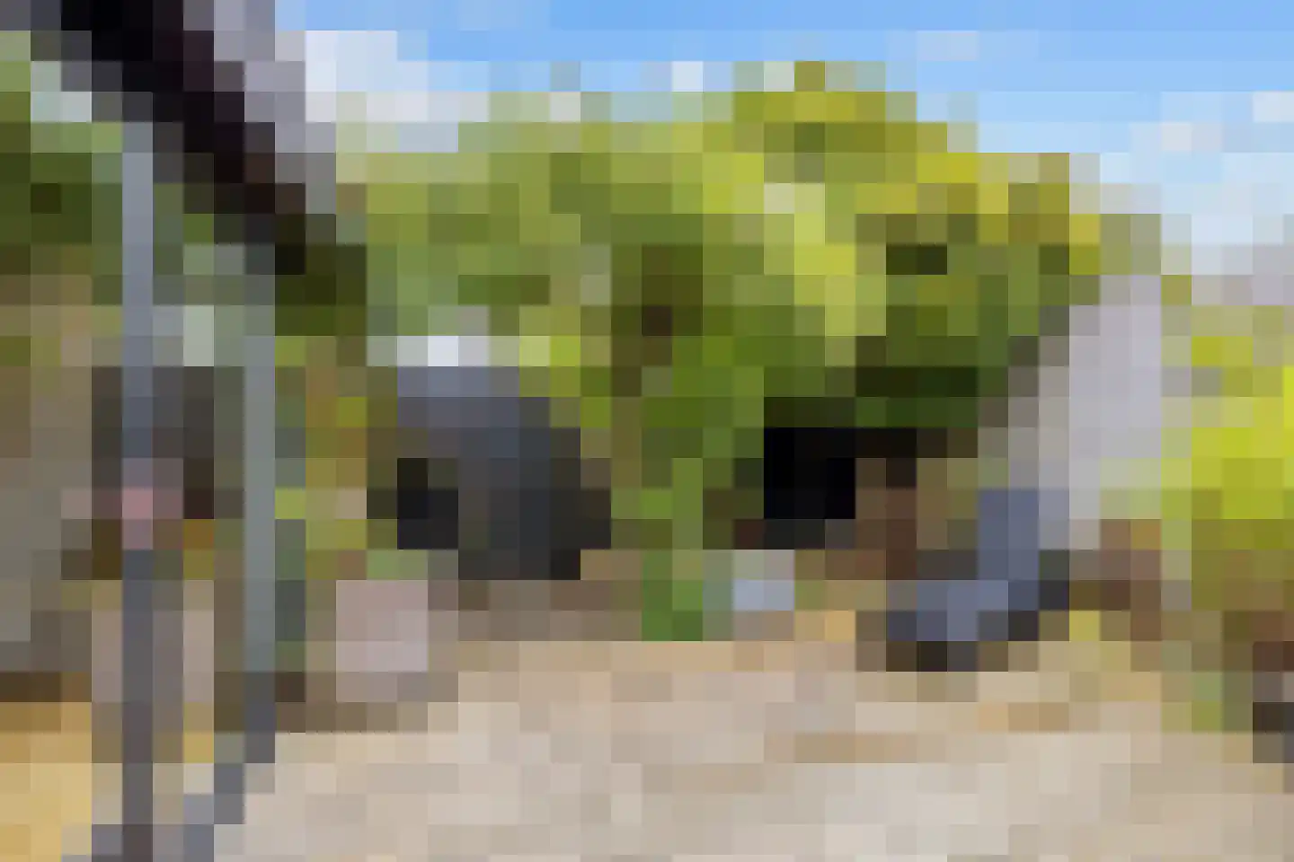 Hamrik 25 Winsum thumbnail 35