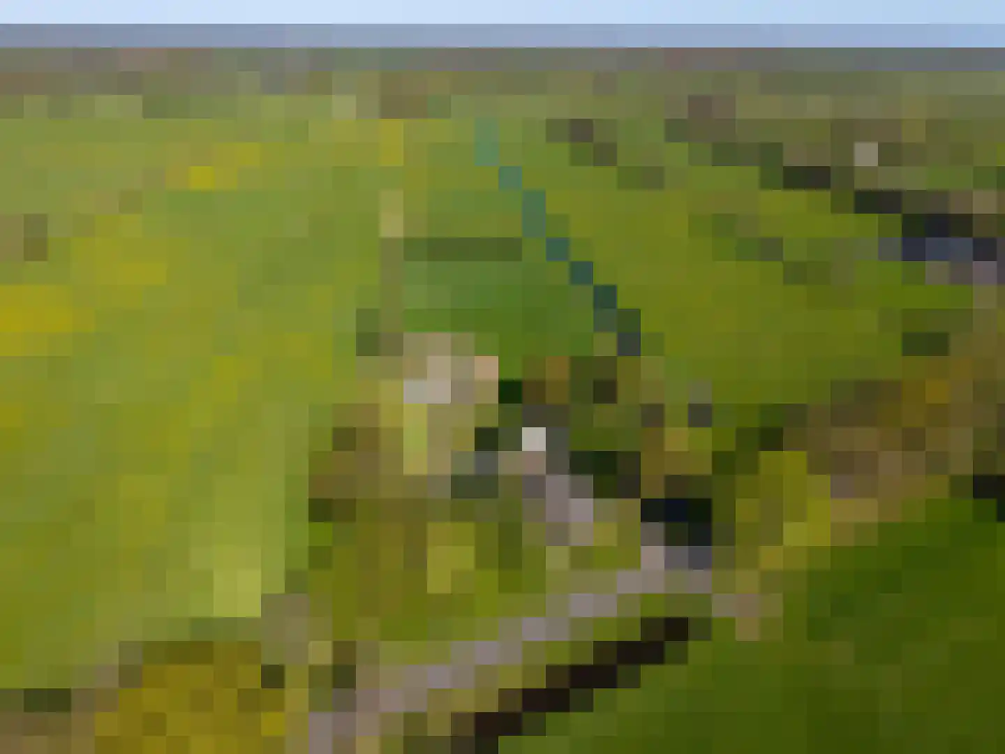 Hamrik 4 Marum thumbnail 10