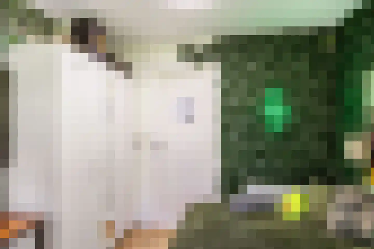Hamrik 4 Marum thumbnail 31
