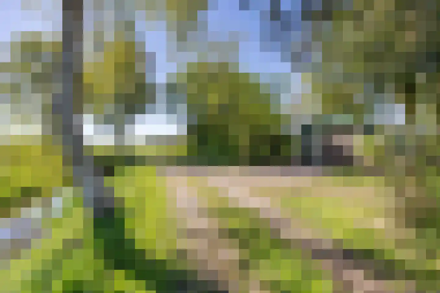 Hamrik 4 Marum thumbnail 55