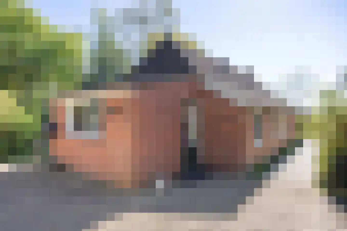 Hamrik 4 Marum thumbnail 66