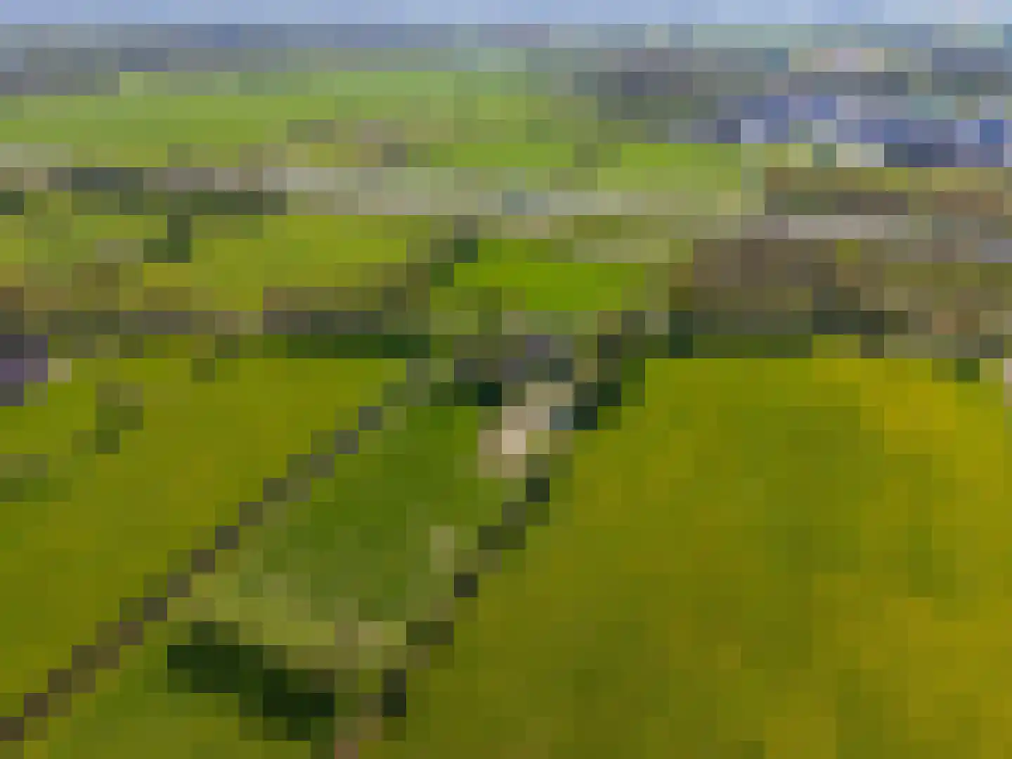 Hamrik 4 Marum thumbnail 73