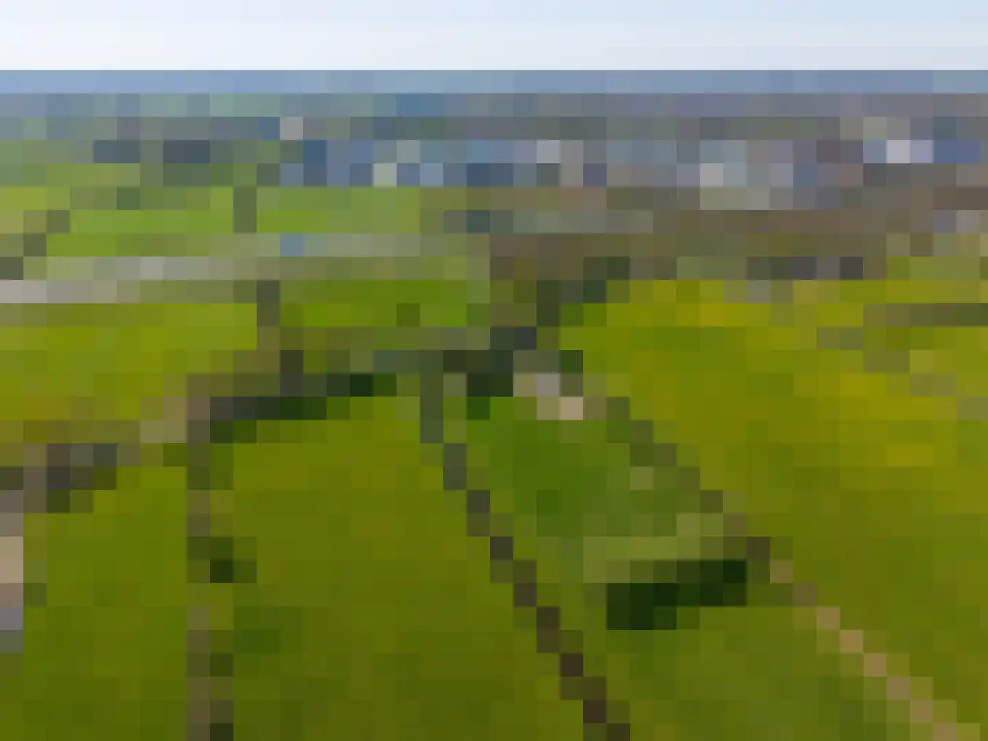 Hamrik 4 Marum thumbnail 74