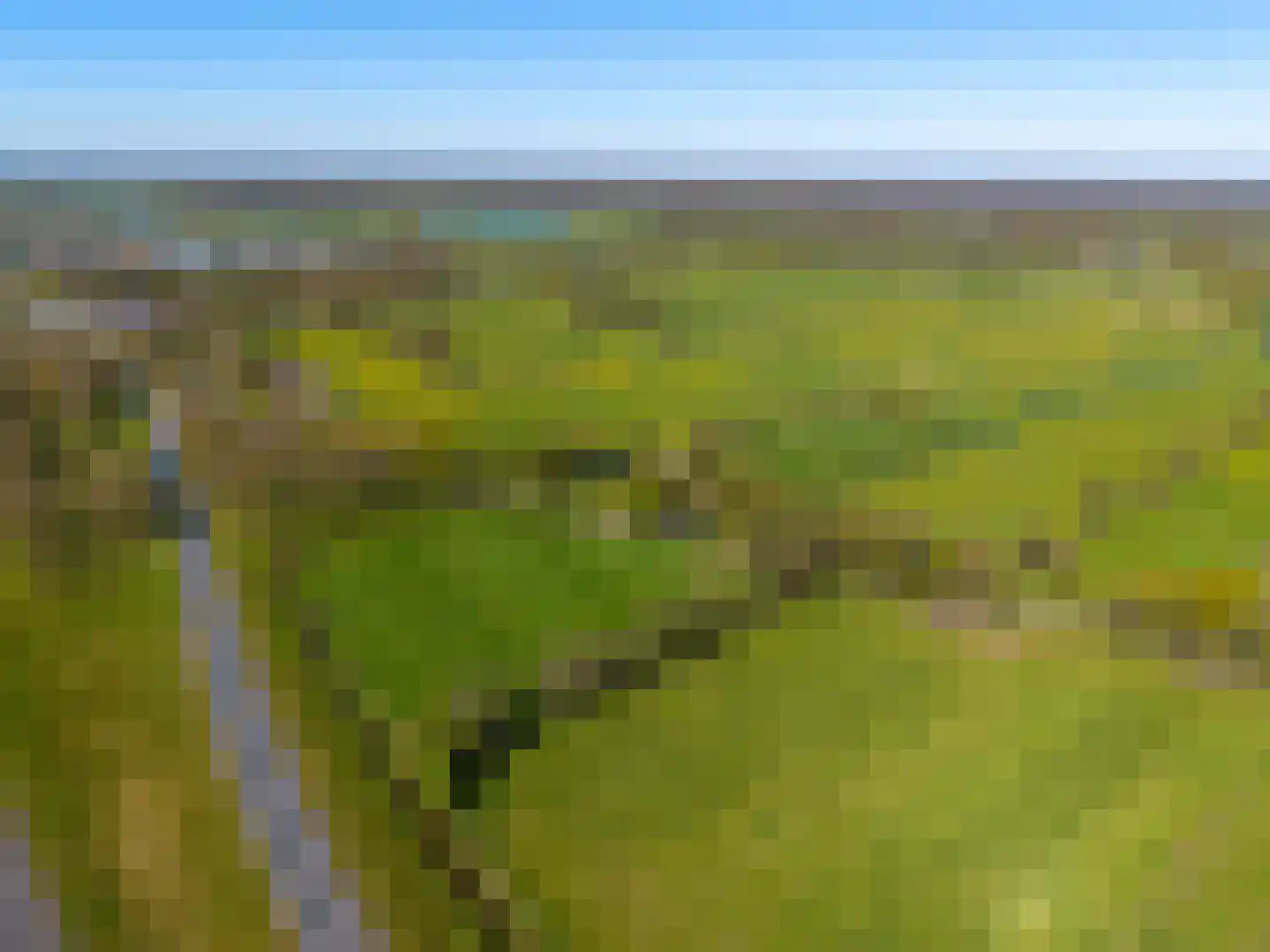 Hamrik 4 Marum thumbnail 76